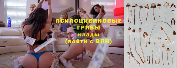 эйфоретик Балахна