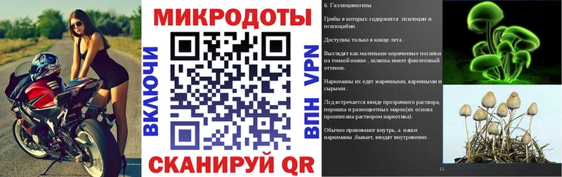 Псилоцибиновые грибы мицелий  OMG зеркало  Владивосток 